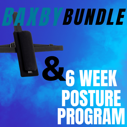 Baxby Original Cushion & 6 Week Posture Program